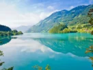 arlindo-lianza-natureza-7